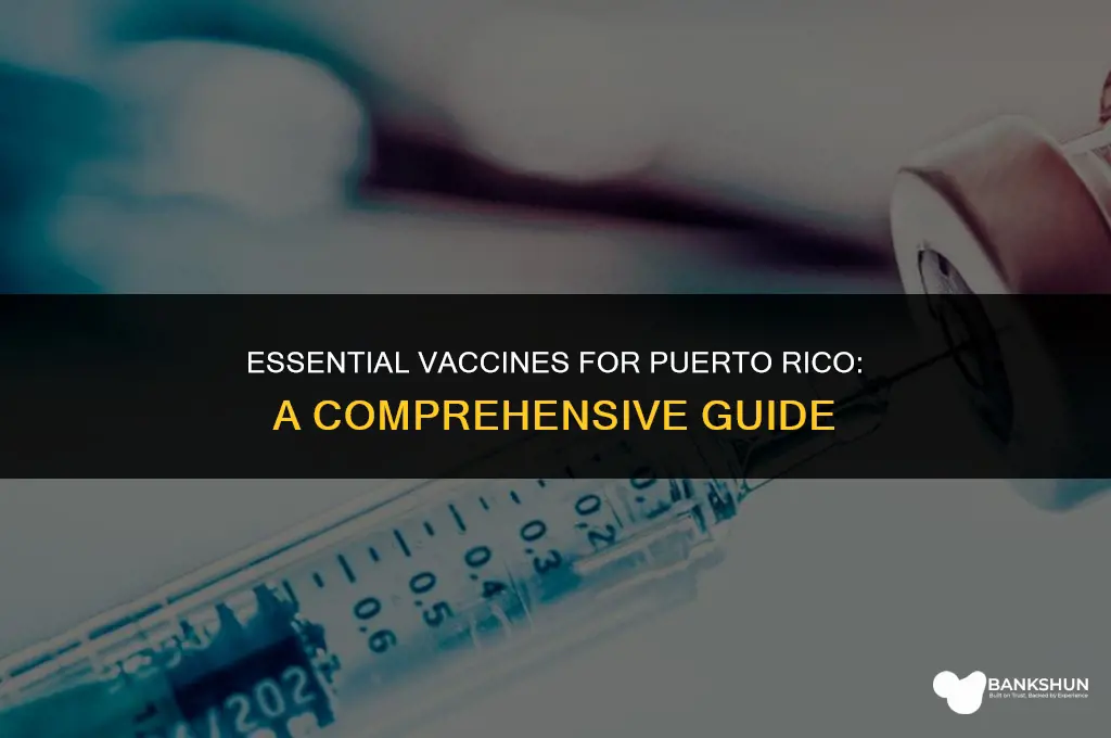 what vaccines are necessary for puerto rico