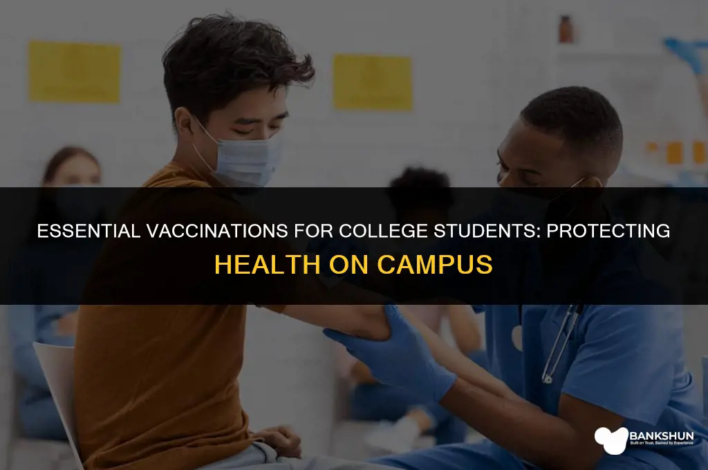 what vaccines are recommended for college students