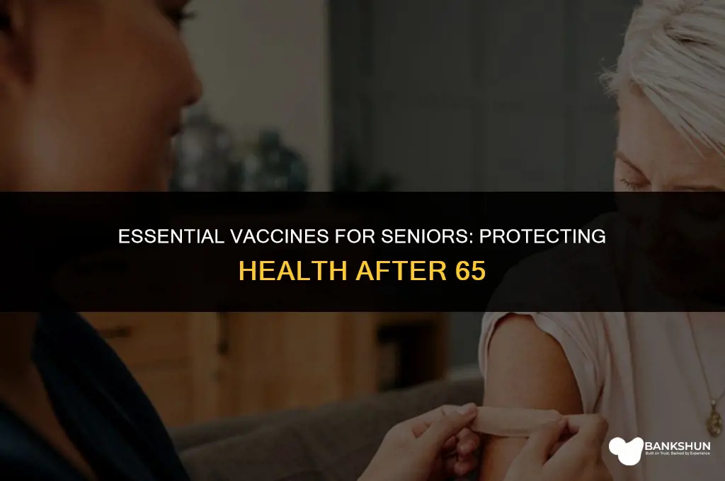 what vaccines are recommended for over 65