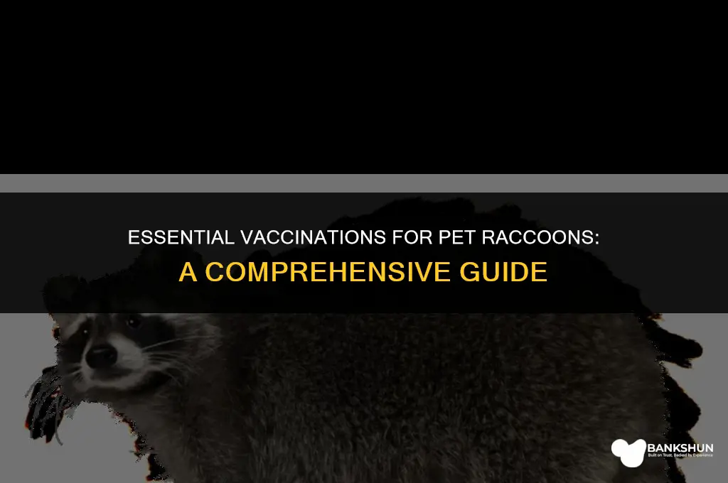 what vaccines are recommended for pet raccoons