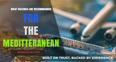 Essential Vaccines for a Safe Mediterranean Adventure