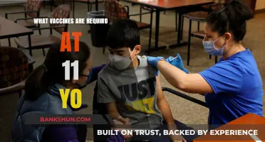 Essential Vaccines for 11-Year-Olds: A Comprehensive Guide
