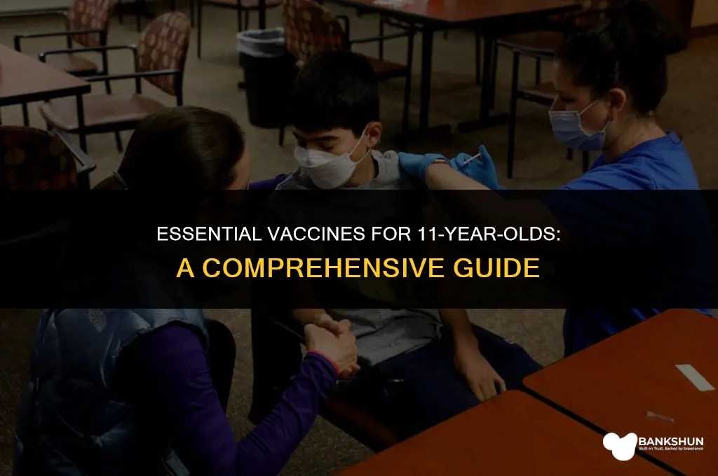 what vaccines are requird at 11 yo