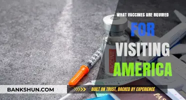 Essential Vaccines for Traveling to the United States