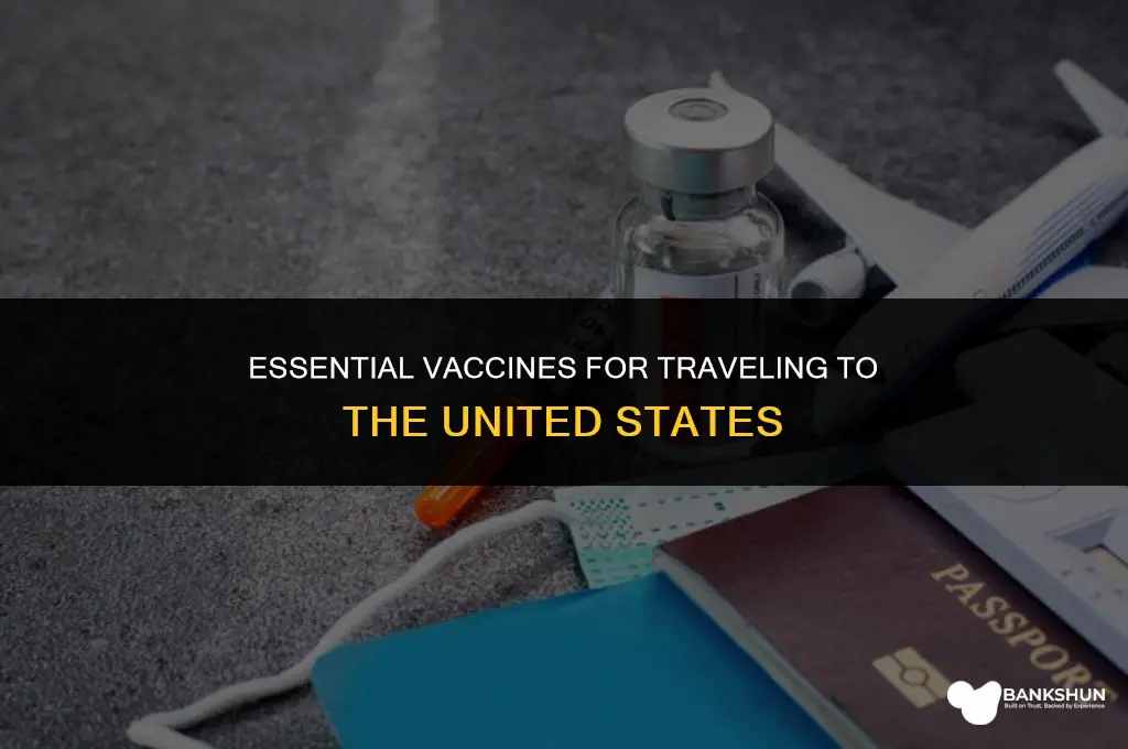 what vaccines are rquired for visiting america