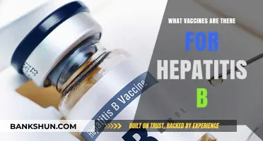 Exploring Hepatitis B Vaccines: A Comprehensive Guide to Protection