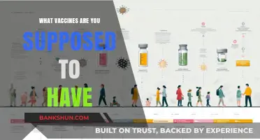 Essential Vaccinations: A Guide to Protecting Your Health