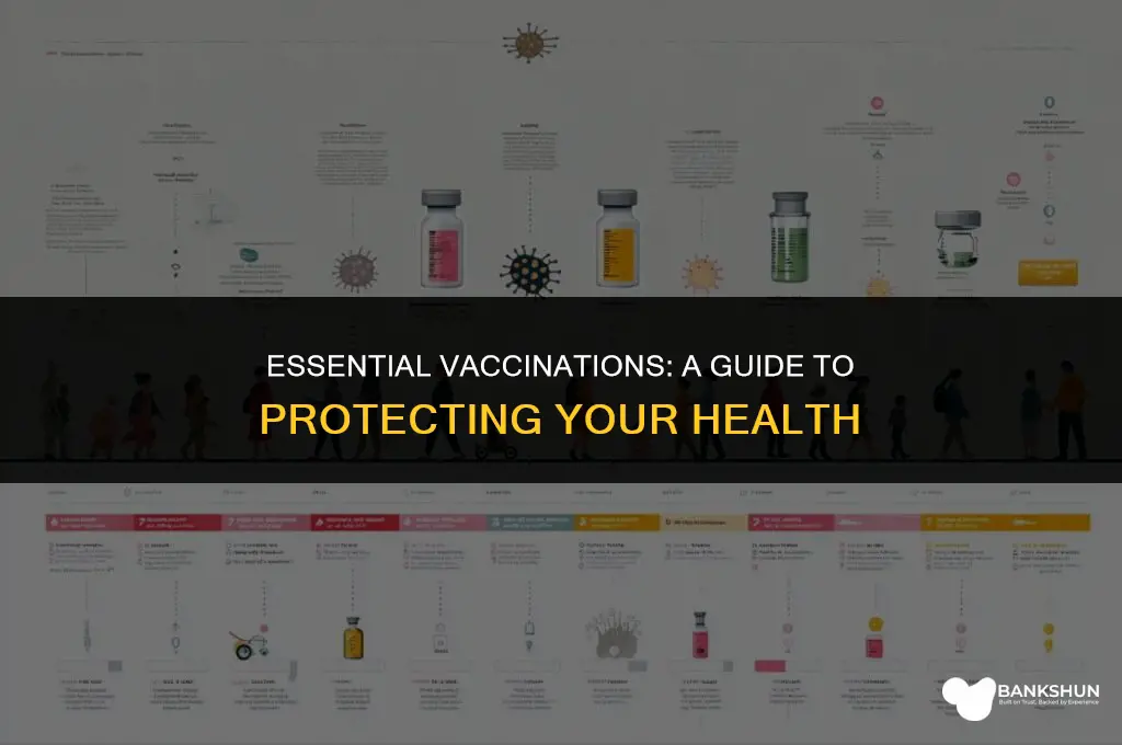 what vaccines are you supposed to have
