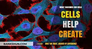 Breakthroughs in Medicine: How HeLa Cells Revolutionized Vaccine Development