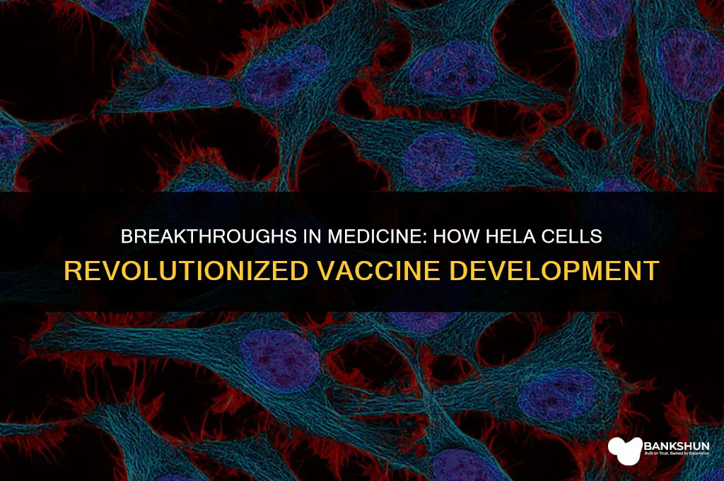 what vaccines did hela cells help create