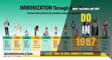 Vaccination Milestones: A Look Back at 1987's Immunization Advances