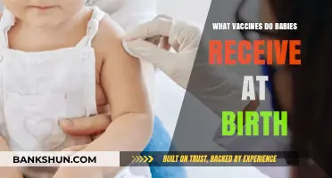 Essential Vaccines for Newborns: A Guide to Protecting Your Baby