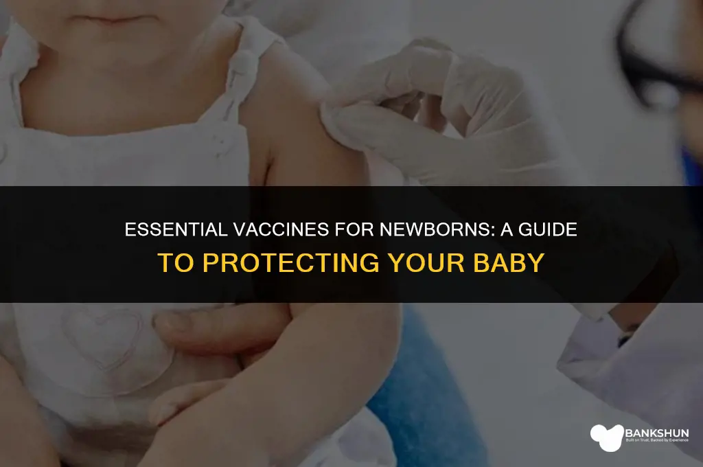 what vaccines do babies receive at birth