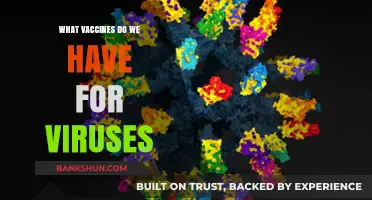 Exploring the Arsenal: Vaccines in the Fight Against Viruses
