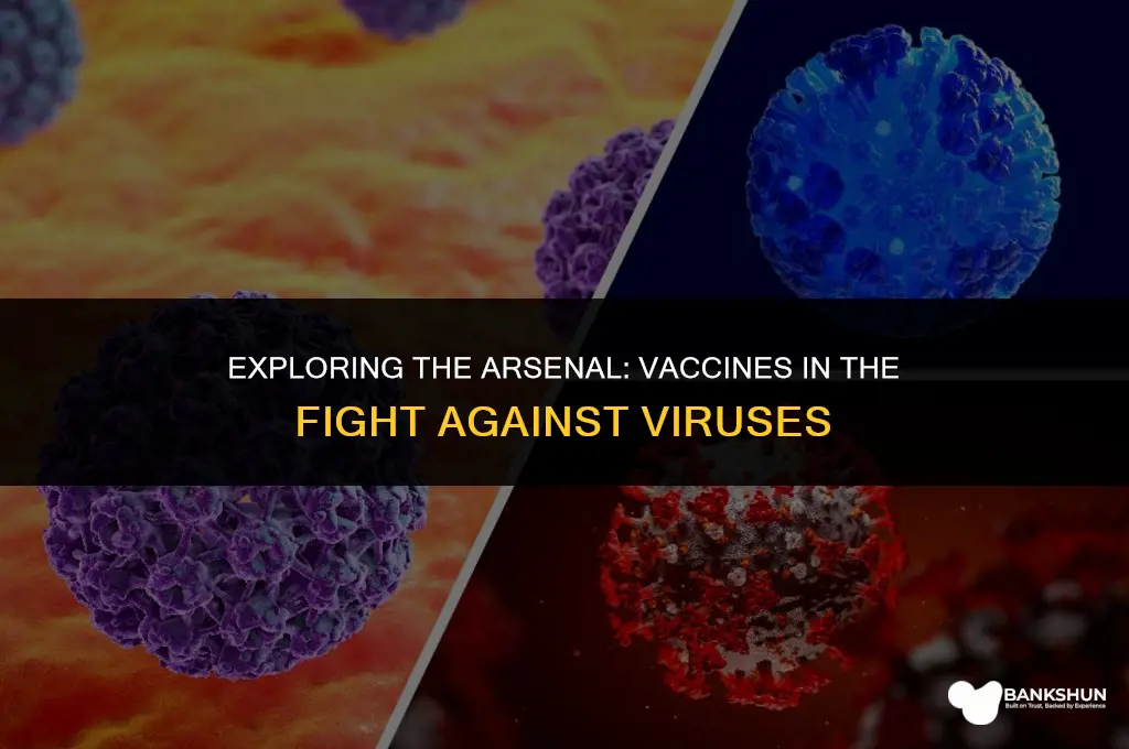 what vaccines do we have for viruses