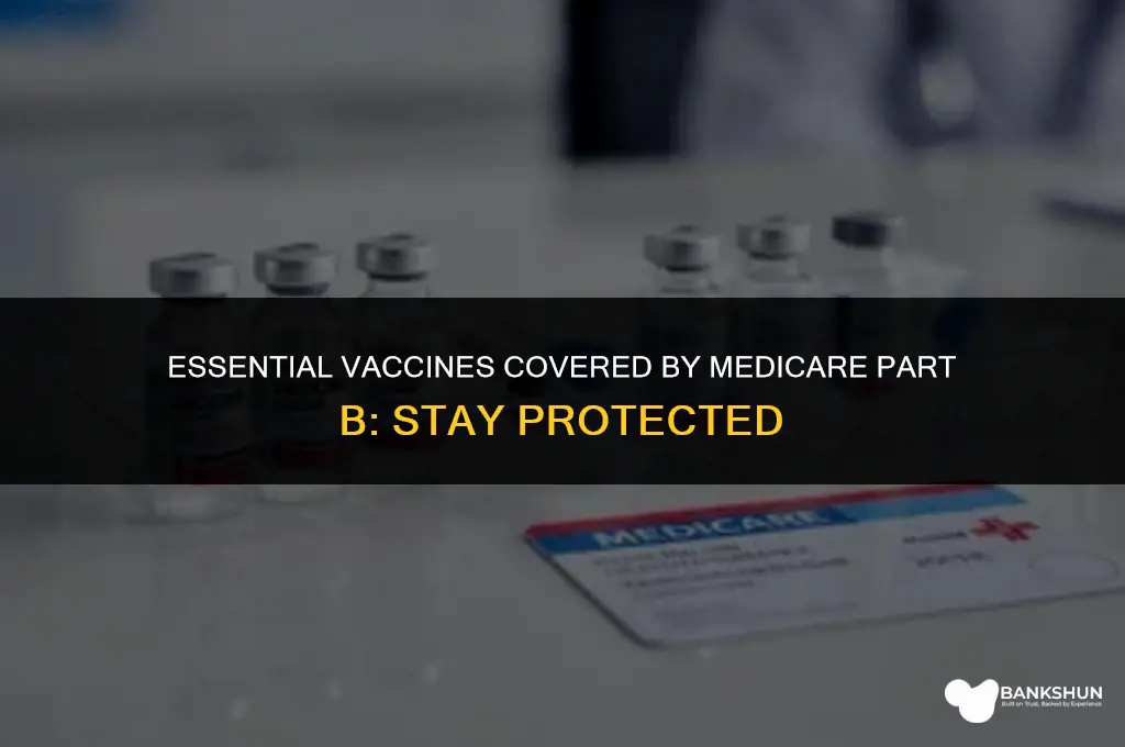 what vaccines does medicre part b cobver