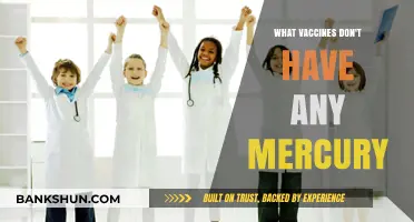 Mercury-Free Vaccines: A Comprehensive Guide to Safe Immunization Options