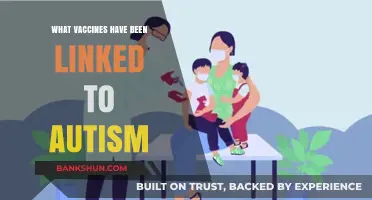 Exploring the Misinformation: Vaccines and Autism Myths Debunked