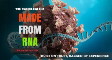 RNA-Based Vaccines: A Breakthrough in Immunization Technology
