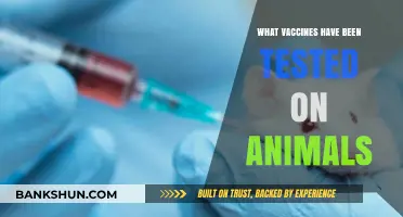 Exploring Animal-Tested Vaccines: A Comprehensive Overview