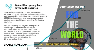 Vaccines: A Global Shield Against Deadly Diseases