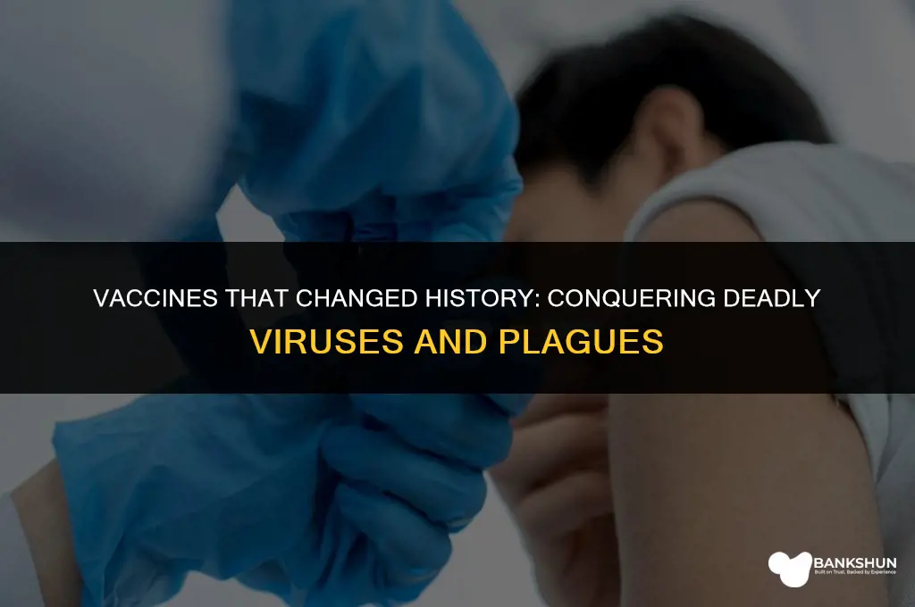 what vaccines helped stop virus and plauges