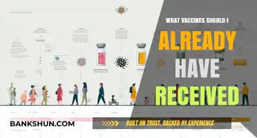 Essential Vaccinations: A Comprehensive Guide for Lifelong Health