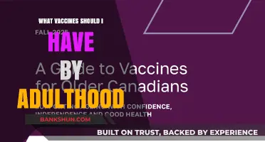 Essential Vaccinations for Adults: Protecting Your Health Throughout Life