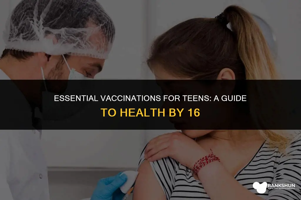 what vaccines should you have by 16