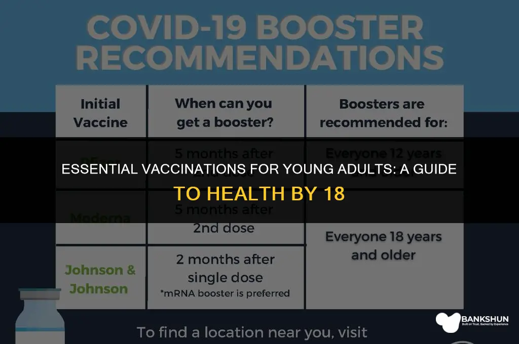 what vaccines should you have by 18
