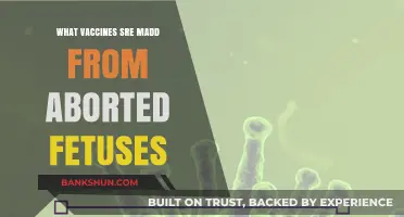 Exploring the Science: Vaccines and Fetal Tissue Research
