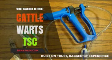 Effective Vaccines for Treating Cattle Warts (TSC): A Comprehensive Guide