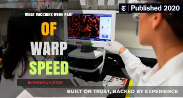 Warp Speed Vaccines: A Breakdown of the Rapid Development Efforts
