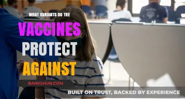 Understanding Vaccine Variants: A Guide to Protection and Efficacy