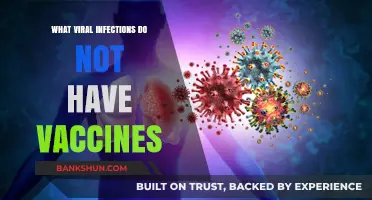 Exploring Viral Infections Without Vaccines: A Comprehensive Guide