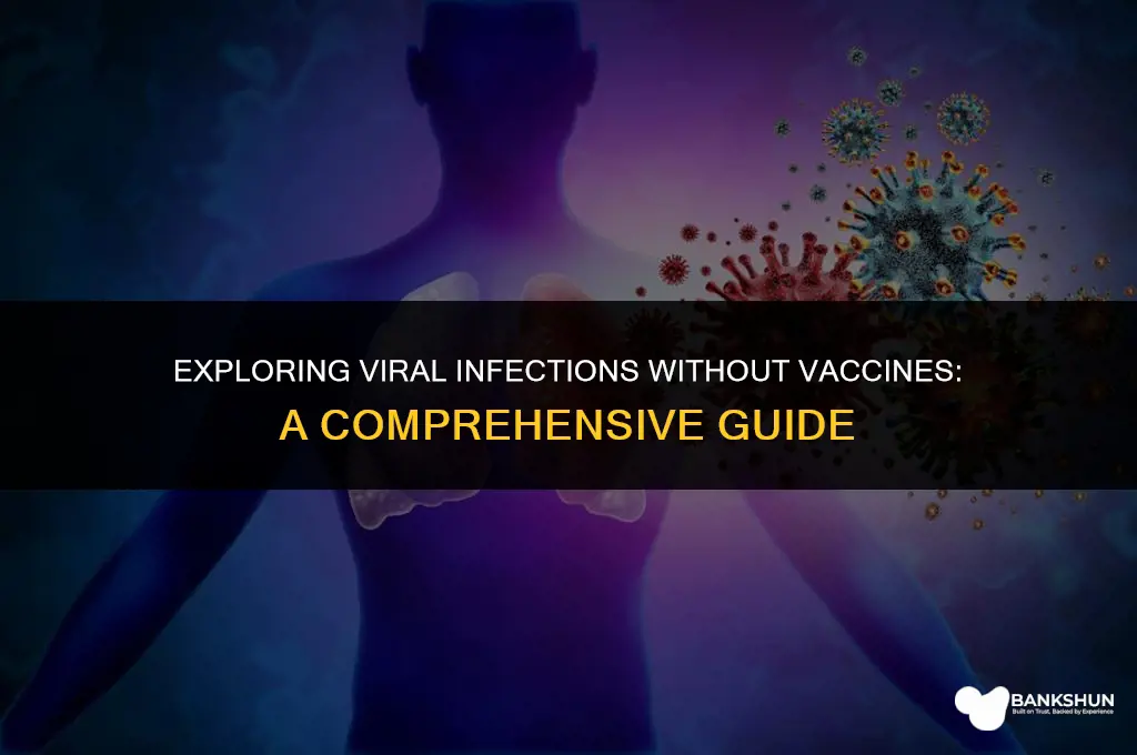 what viral infections do not have vaccines