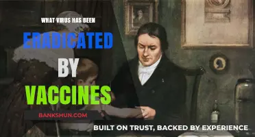 Triumph Over Disease: How Vaccines Eradicated Smallpox