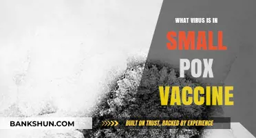 Unveiling the Mystery: What Virus Powers the Smallpox Vaccine?