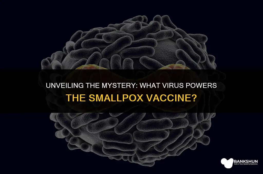 what virus is in small pox vaccine