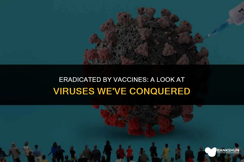 what viruses has vaccinations gotten rid of