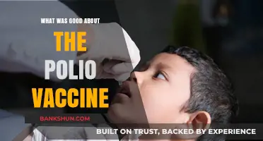 Triumph Over Polio: The Vaccine's Lasting Legacy