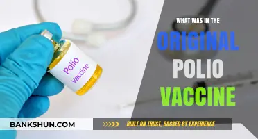 Unveiling the Origins: What Was Really in the Original Polio Vaccine?