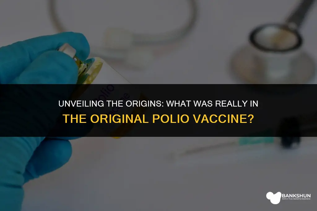 what was in the original polio vaccine