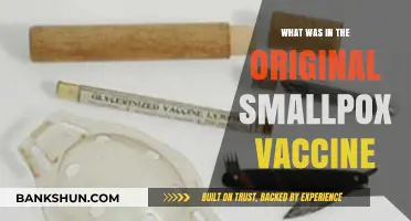 Unveiling the Origins: What Was in the Original Smallpox Vaccine?