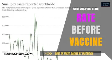 Polio's Deadly Toll: A Historical Look Before Vaccination Era