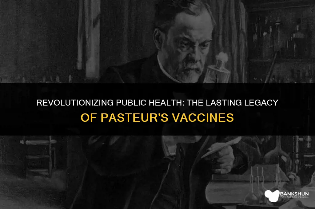 what was the impact of pasteurs vaccines