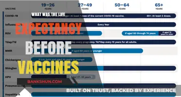 Life Expectancy Before Vaccines: A Historical Health Perspective