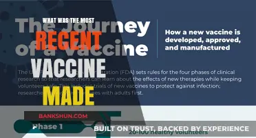 Breakthrough in Immunization: The Latest Vaccine Development Unveiled