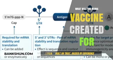 Unveiling the Origins: The mRNA Vaccine's Purpose Explained