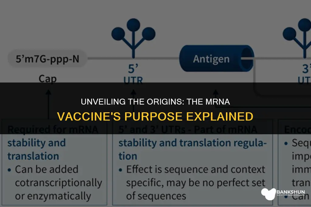 what was the mrna vaccine created for